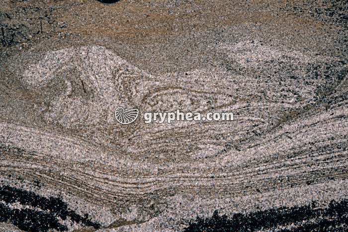 Figure sédimentaire dans pélite gréseuse LPA x2 - gryphea.org